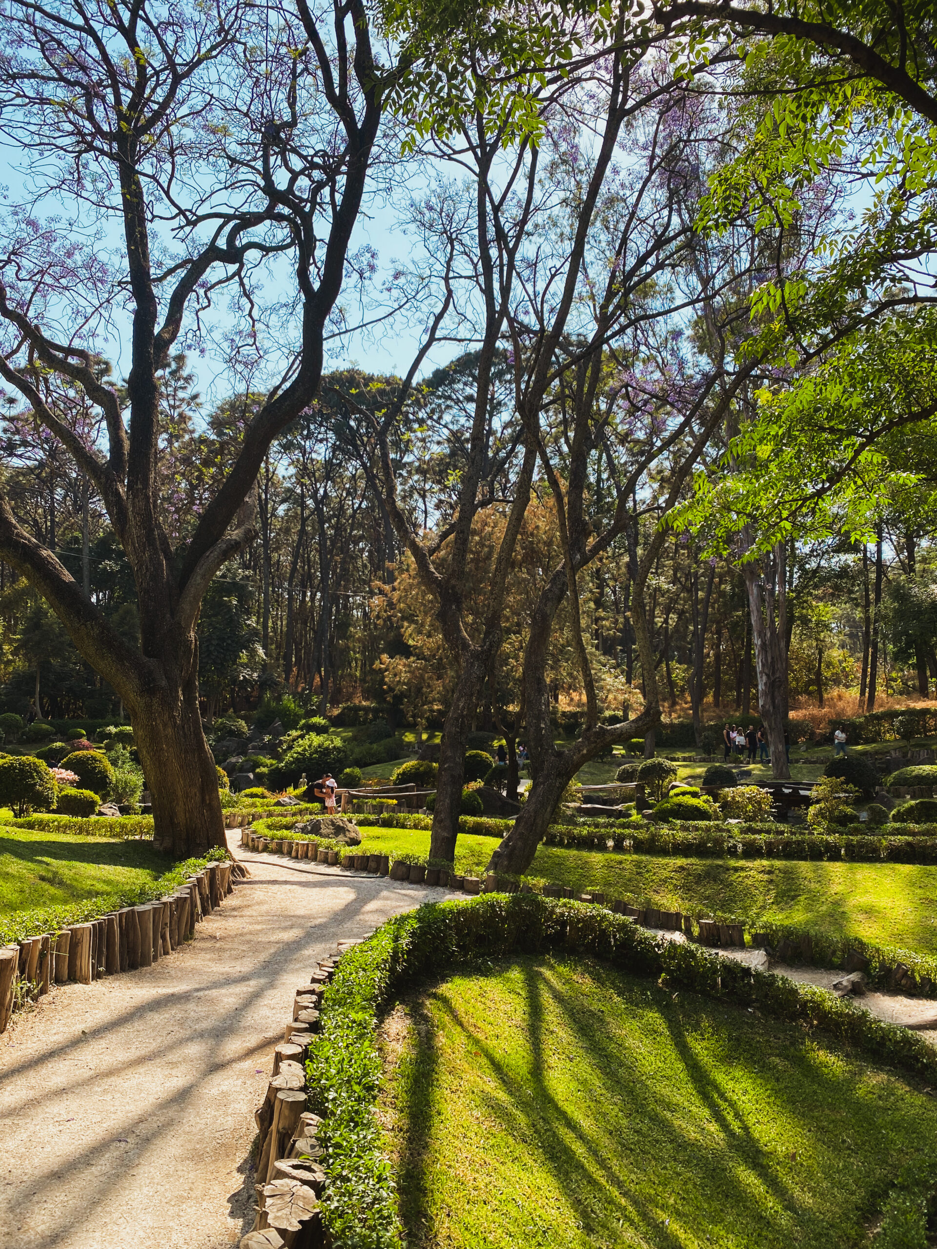 Where To Stay In Guadalajara: 7 Best Areas + Where To Avoid - Nomadic ...