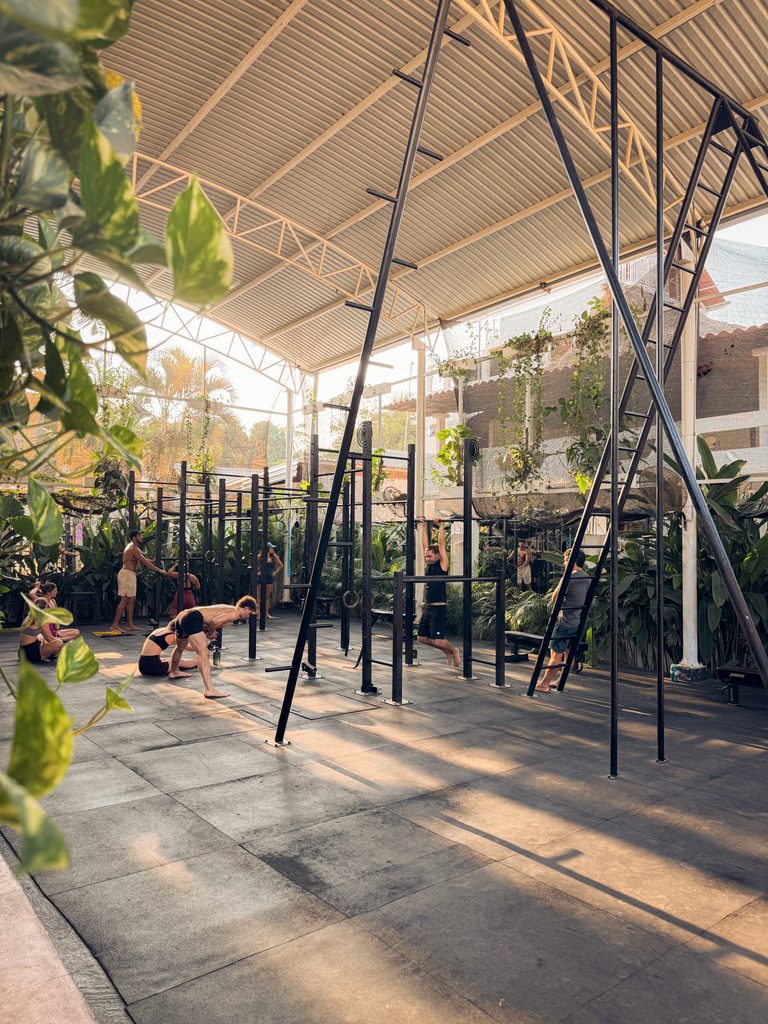image of wolf la punta fitness studio