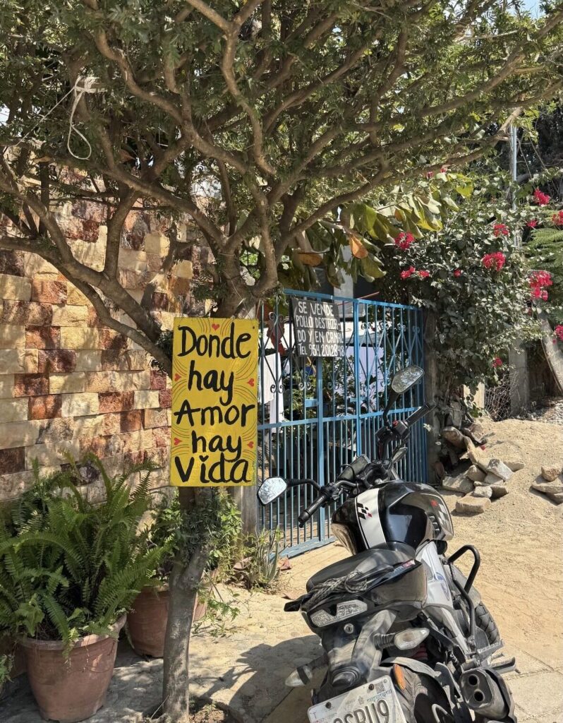 image of a moto by a tree in la punta