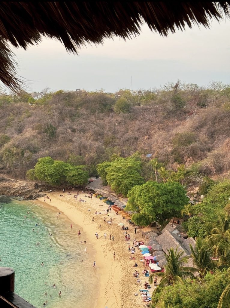 aerial view of playa carrizalillo