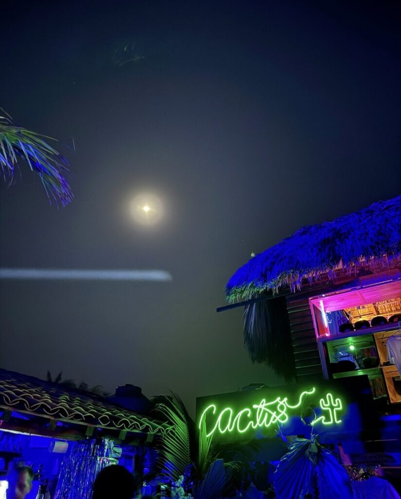 outdoor night club called cactus