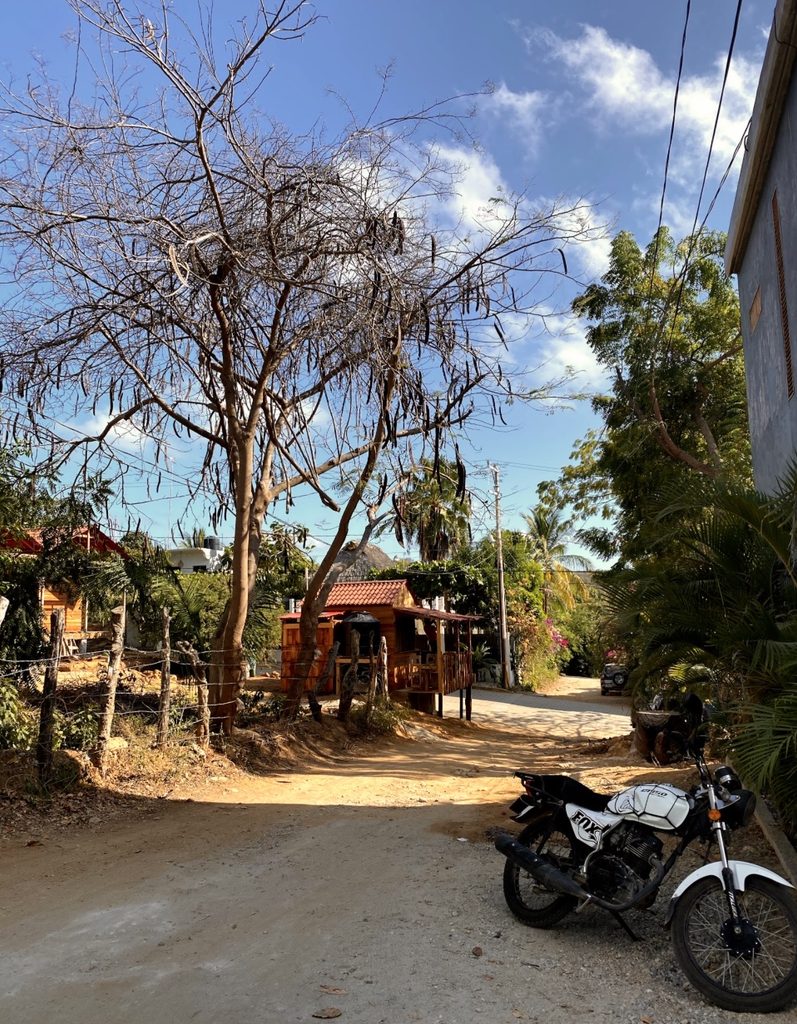 image of moto on a street in la punta