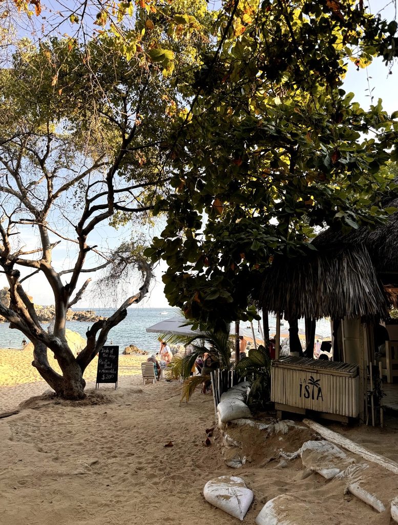 image of restaurant at playa manzanillo